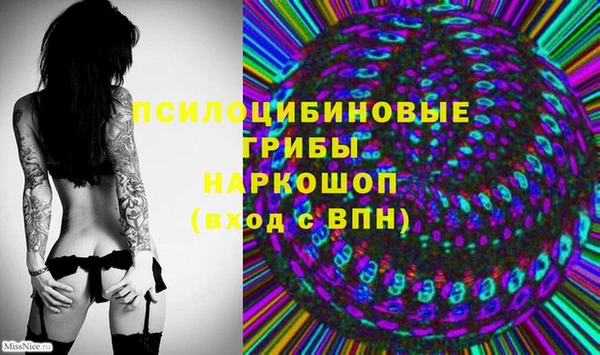 ECSTASY Алзамай