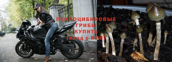 гидропоника Алексеевка