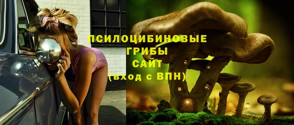 ECSTASY Алзамай