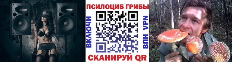 Галлюциногенные грибы Cubensis  blacksprut   Апрелевка 